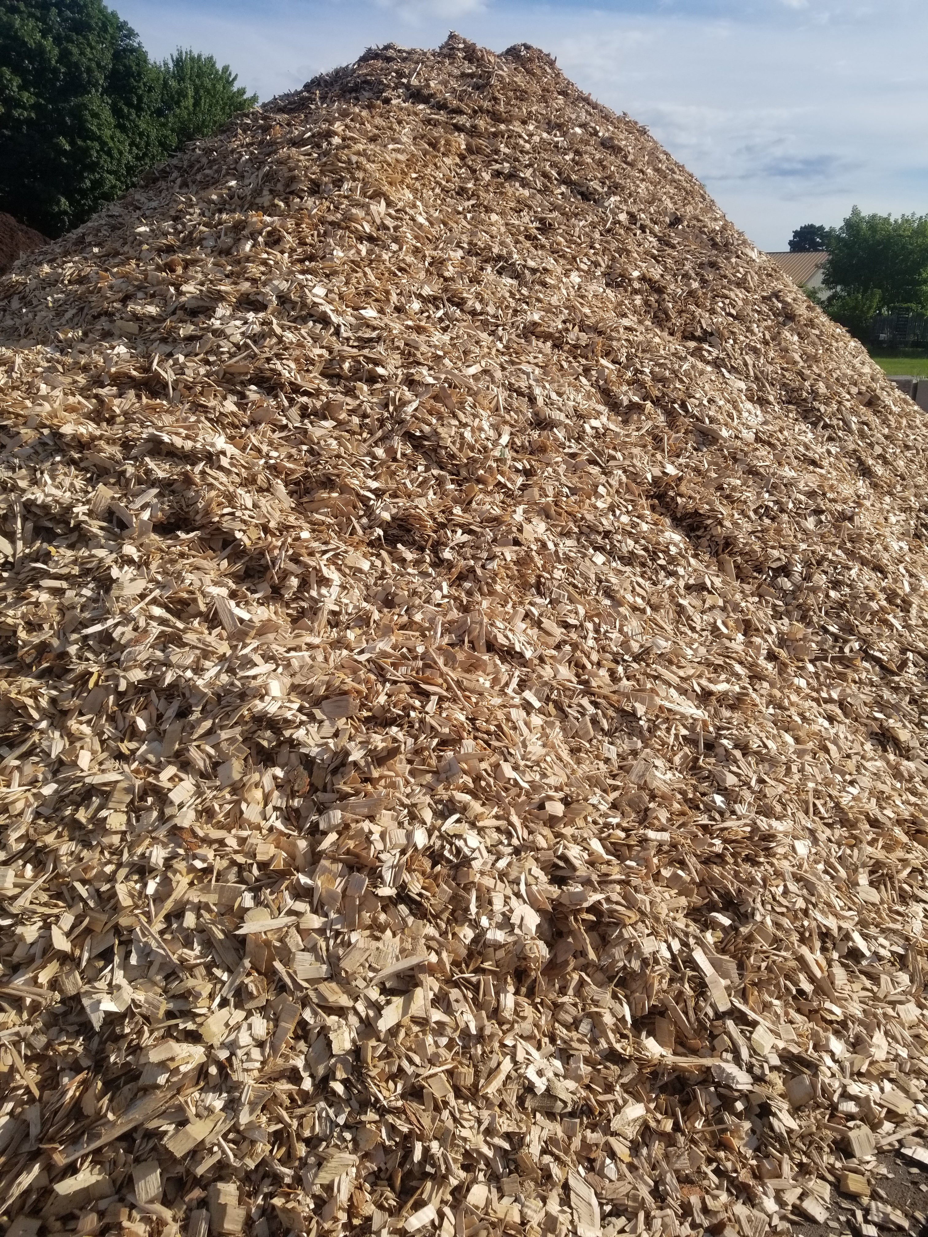 wood chips for indoor plants Playground Wood Chip